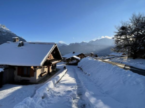 SmartStay - Chalet face au mont Blanc